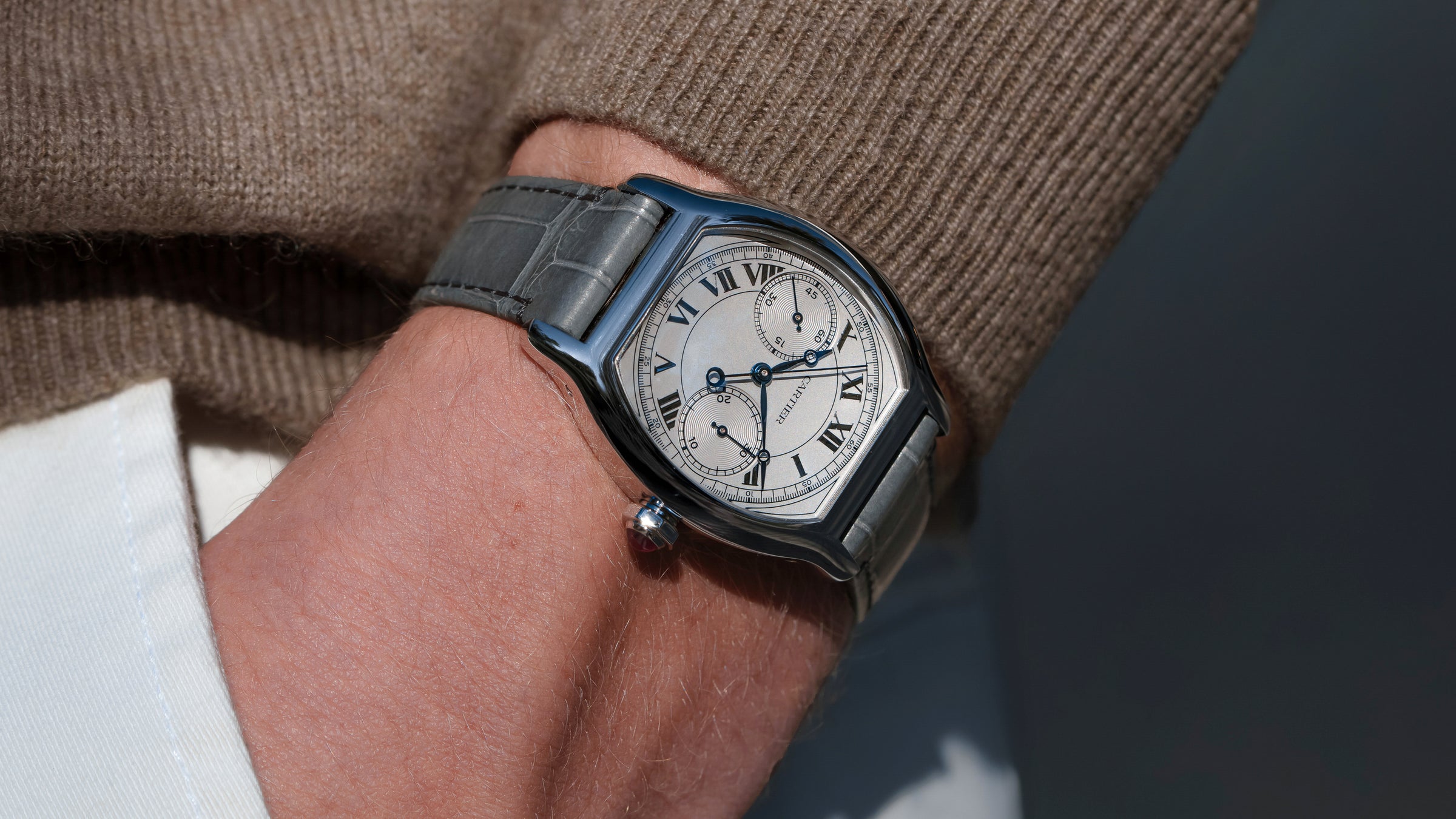 Tortue Monopoussoir, Privé, Platinum