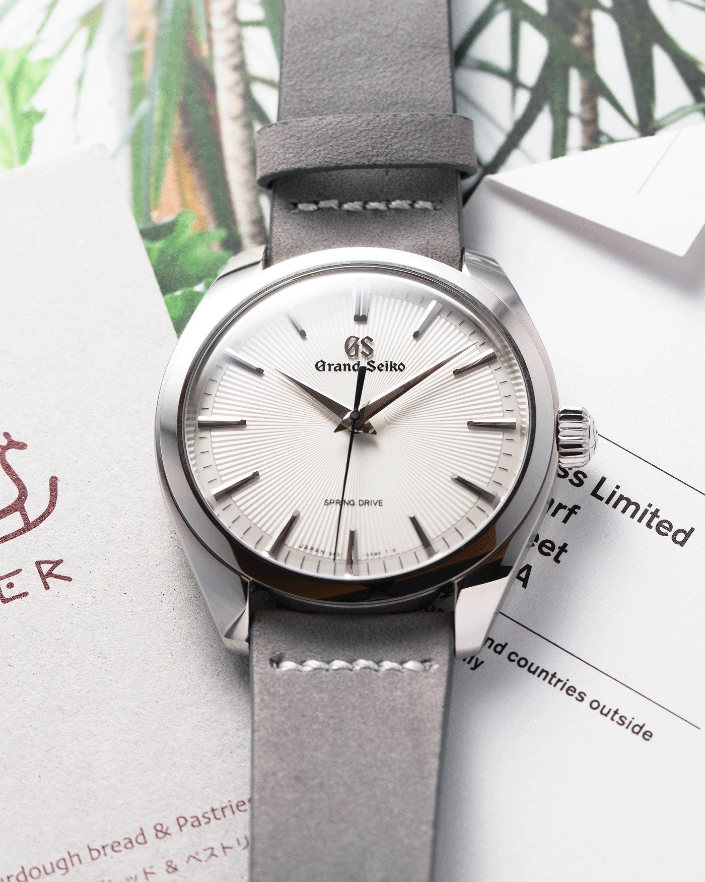 Grand Seiko SBGY003 Spring Drive – Hairspring