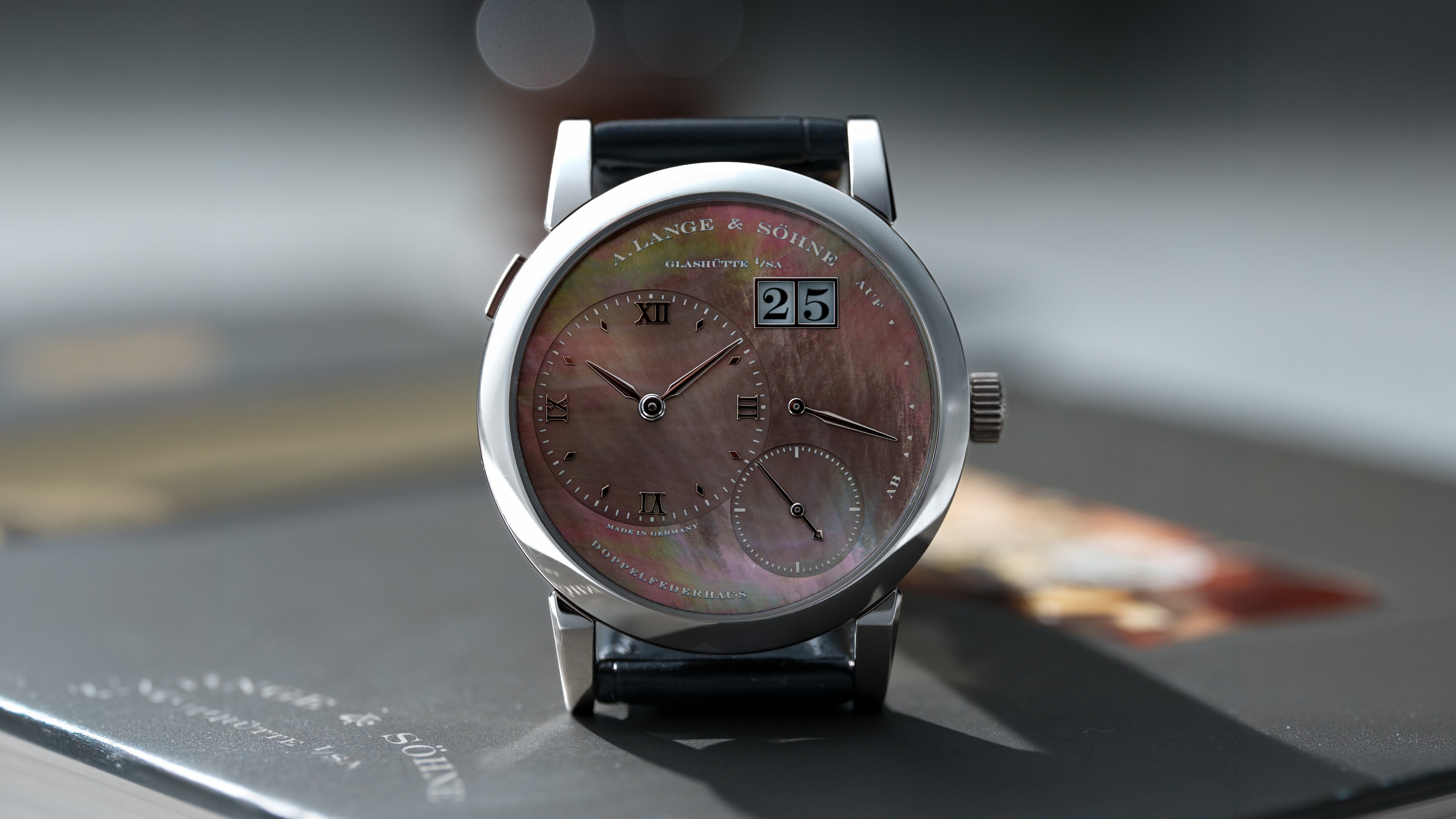 110.041, Lange 1 'Tahitian Soirée', Platinum – Hairspring